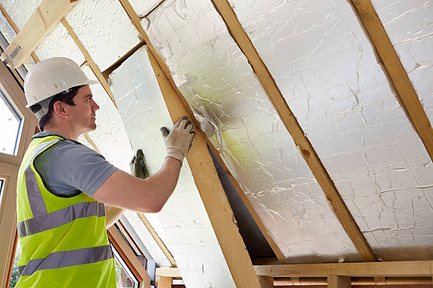 Best Insulation Removal  in Stoneville, NC