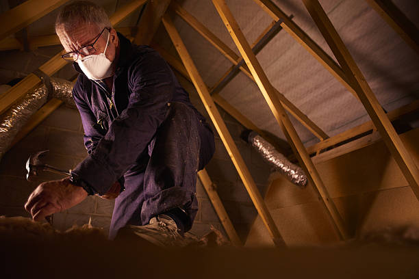 Best Best Insulation Companies  in Stoneville, NC